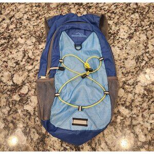 Adventuridge Blue And Gray Daypack In Great Condition Clean Inside